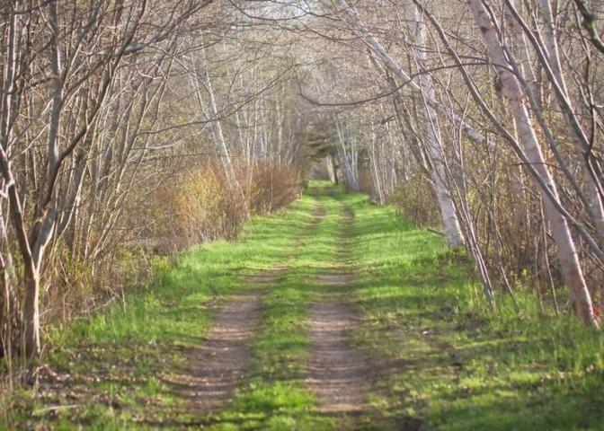 Upper Clements Cottages & Rv Park Annapolis Royal Eksteriør billede