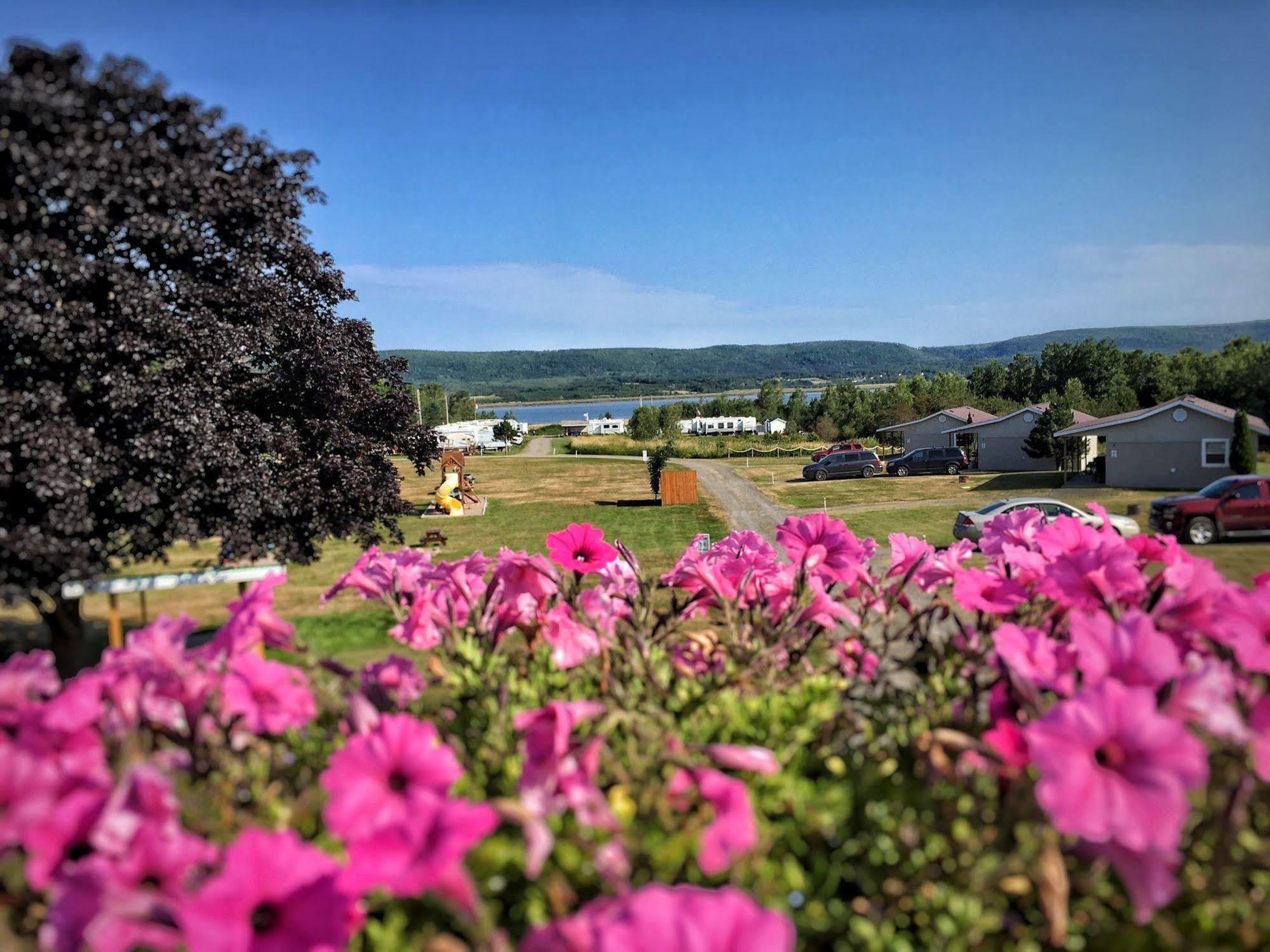 Upper Clements Cottages & Rv Park Annapolis Royal Eksteriør billede