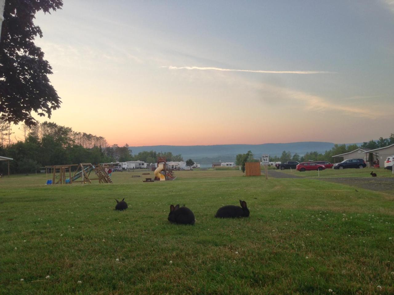 Upper Clements Cottages & Rv Park Annapolis Royal Eksteriør billede